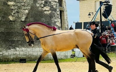 Saumur Cheval Festival 2025