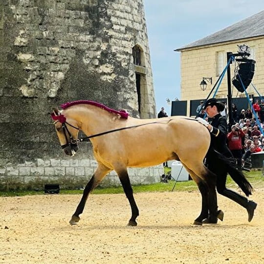 Saumur Cheval Festival 2025